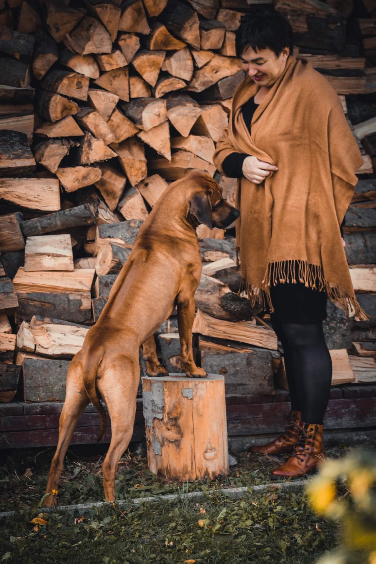 Zvířata mají výhodu, nepřemýšlí o svých myšlenkách.